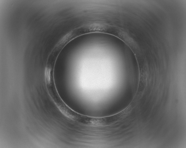 X0000080140070200612081306