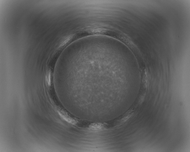 X0000080140076200612081307