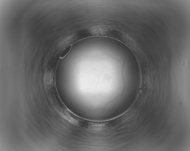 X0000080140081200612081307