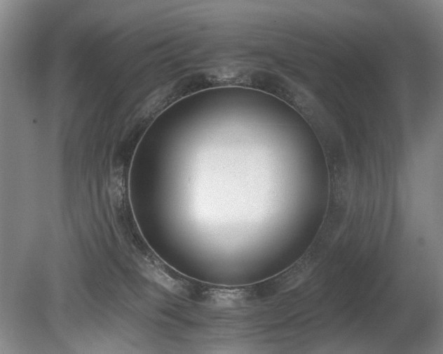 X0000080140085200612081307