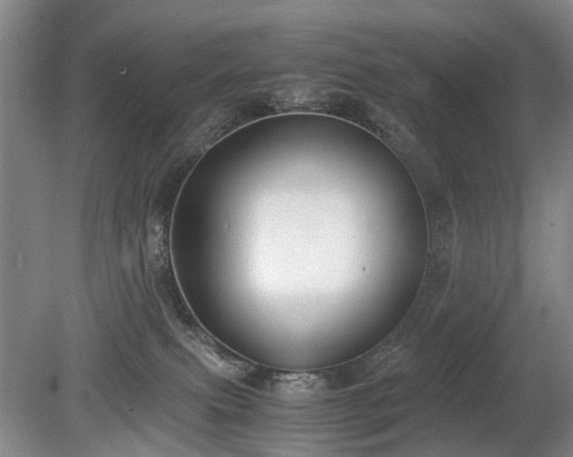 X0000080140087200612081307