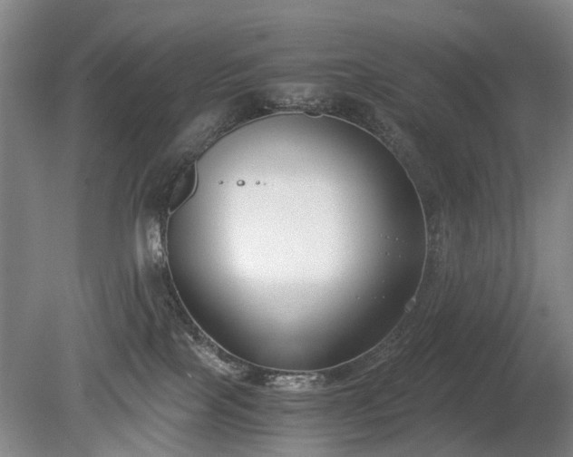 X0000080140089200612081307