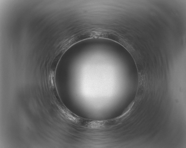 X0000080140094200612081307