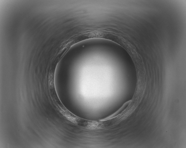 X0000080140096200612081307