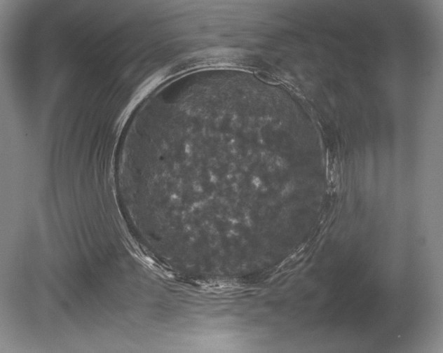 X0000080140099200612081306