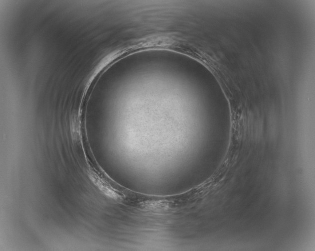 X0000080140100200612081306