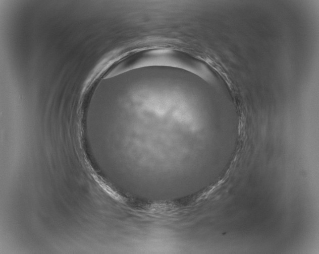 X0000080140101200612081306