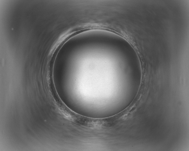 X0000080140103200612081306