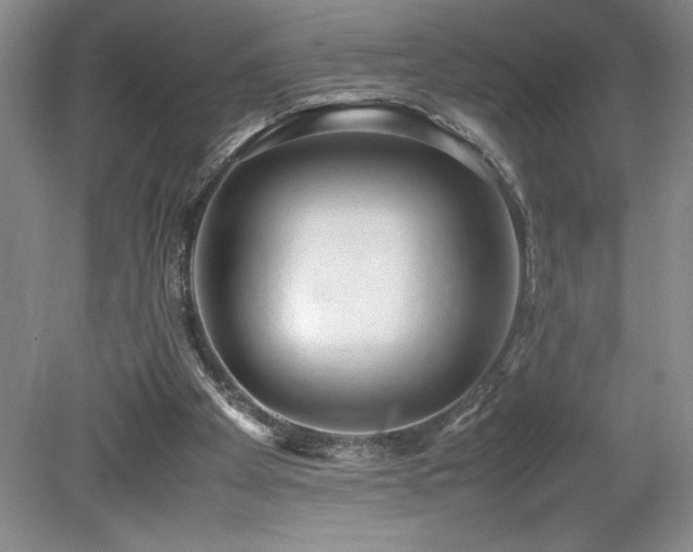 X0000080140105200612081306