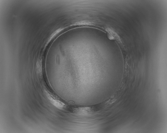 X0000080140108200612081306