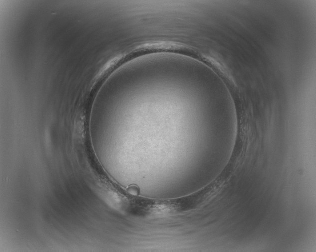 X0000080140111200612081306