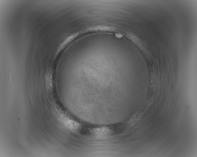 X0000080140112200612081306