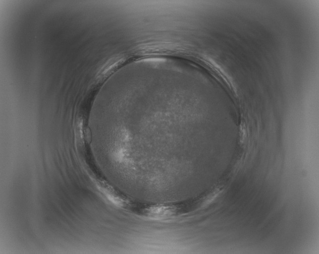X0000080140117200612081306