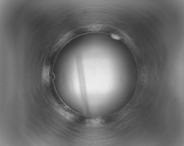 X0000080140118200612081306