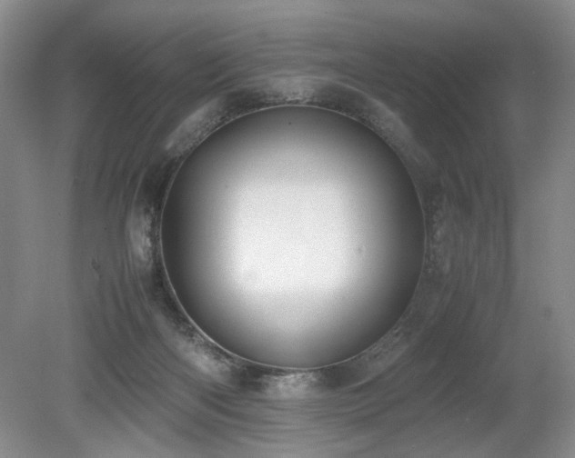 X0000080140122200612081306
