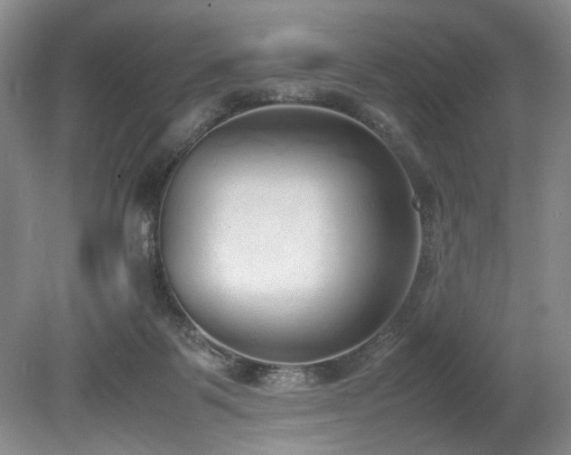 X0000080140123200612081306