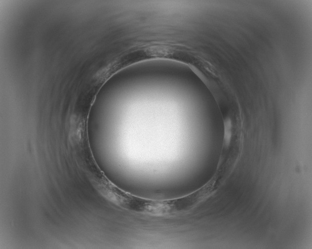 X0000080140125200612081306