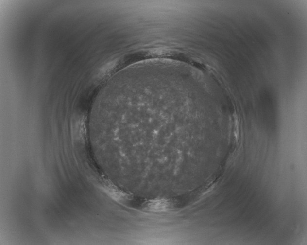 X0000080140127200612081306