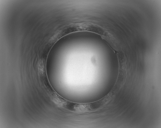 X0000080140129200612081306