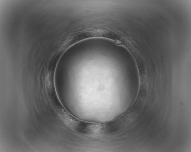 X0000080140131200612081306
