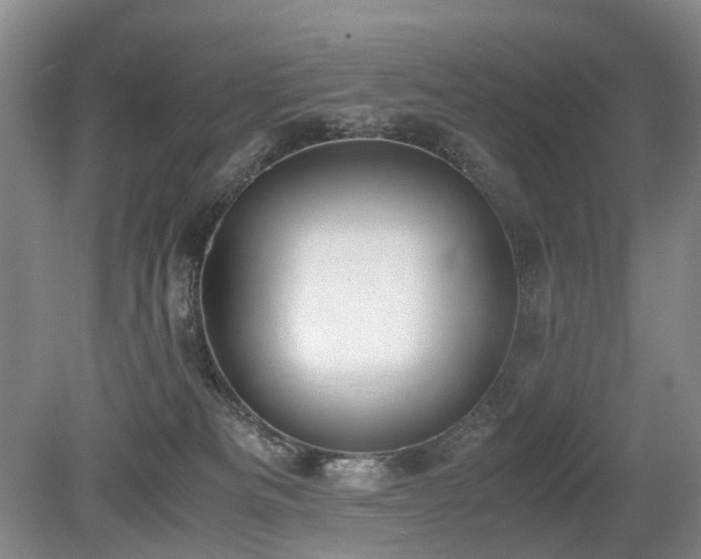 X0000080140133200612081306