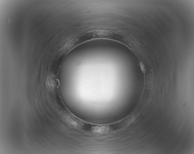 X0000080140135200612081305