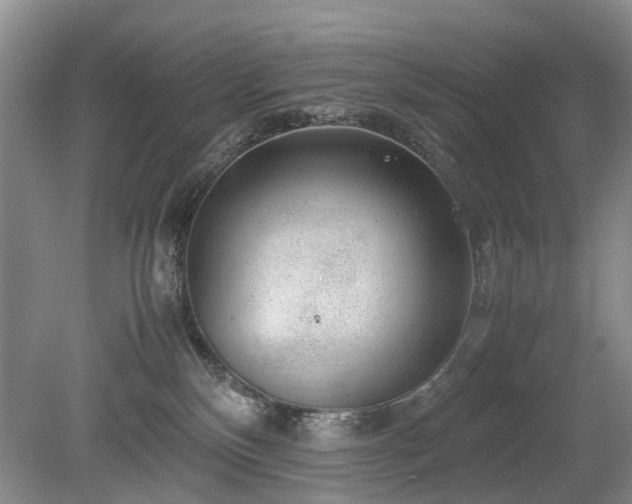 X0000080140136200612081305