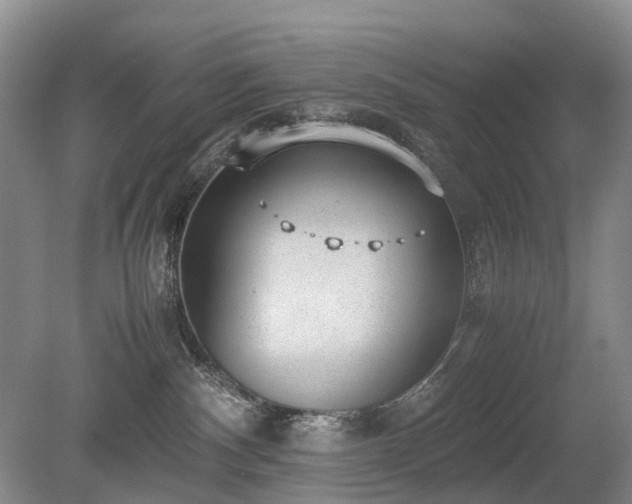 X0000080140140200612081305