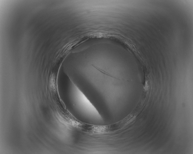 X0000080140143200612081305