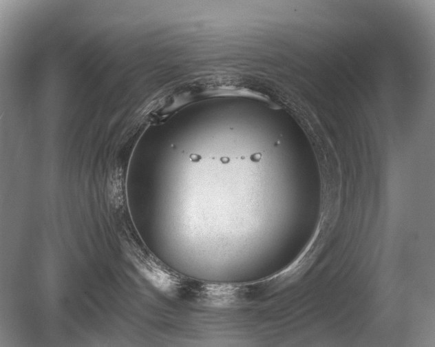 X0000080140144200612081305