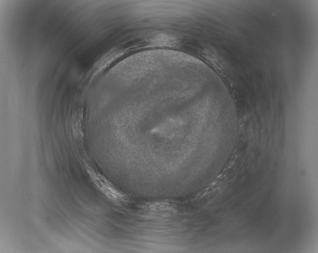 X0000080140146200612081305