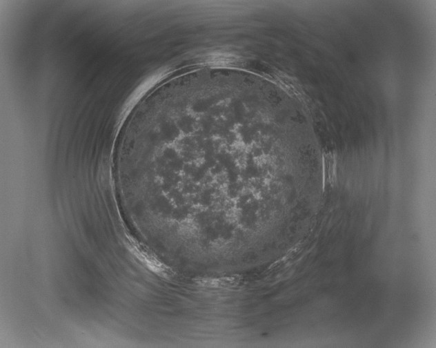 X0000080140147200612081305