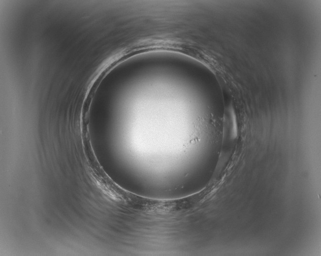 X0000080140148200612081305
