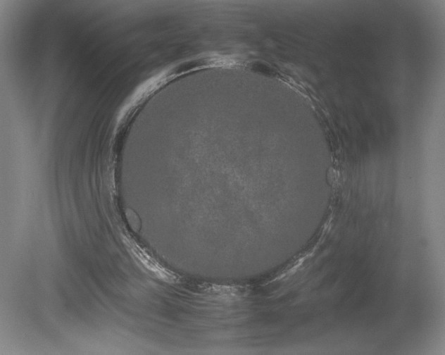 X0000080140149200612081305