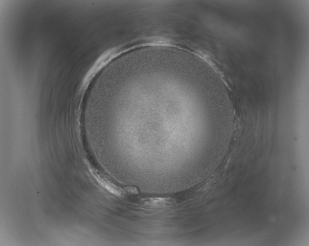 X0000080140151200612081305
