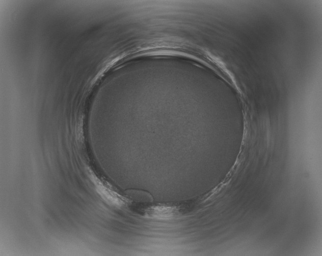 X0000080140154200612081305