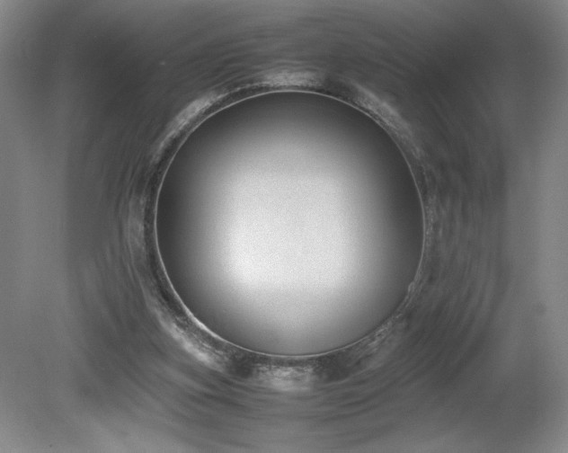 X0000080140155200612081305