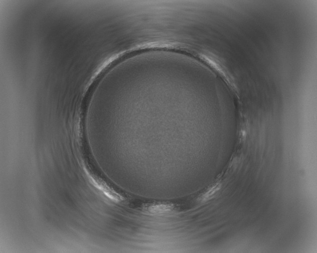 X0000080140156200612081305