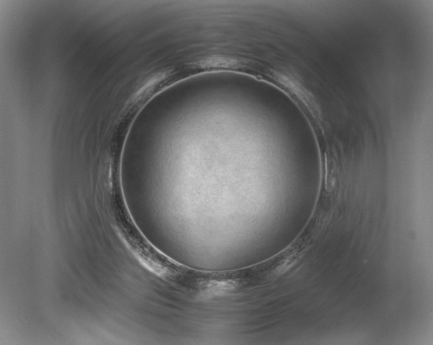 X0000080140157200612081305