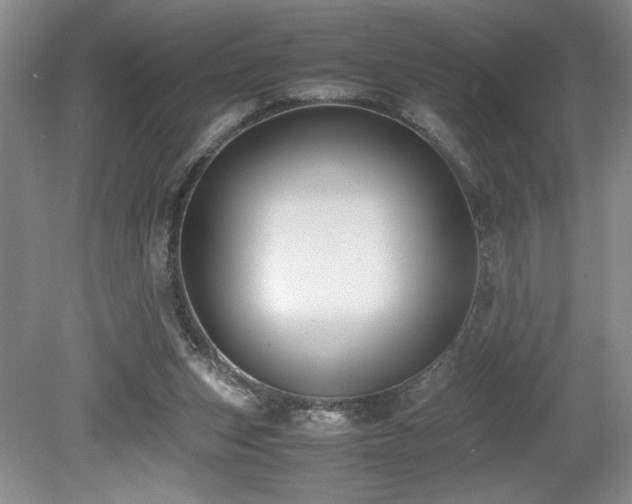 X0000080140159200612081305