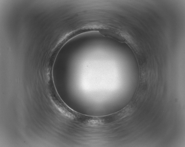 X0000080140160200612081305