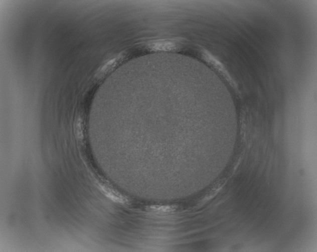 X0000080140161200612081305