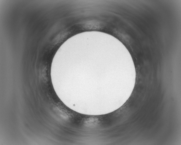 X0000080140162200612081305