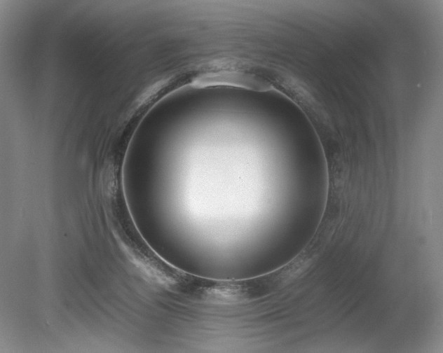 X0000080140164200612081305