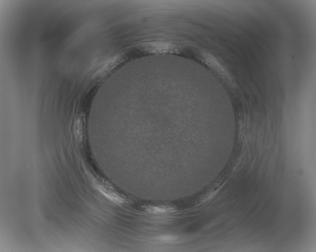 X0000080140165200612081305