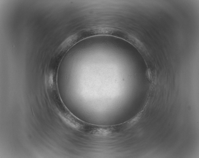 X0000080140166200612081305