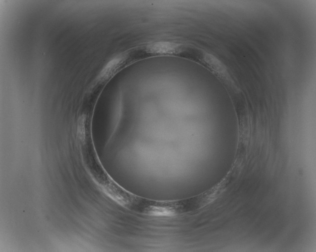 X0000080140167200612081305