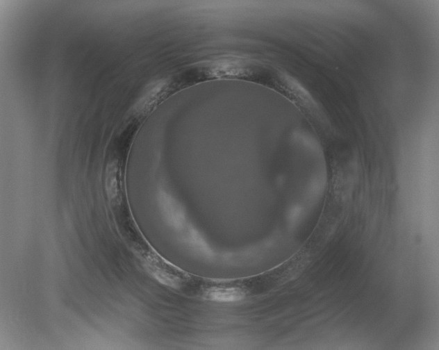 X0000080140169200612081305