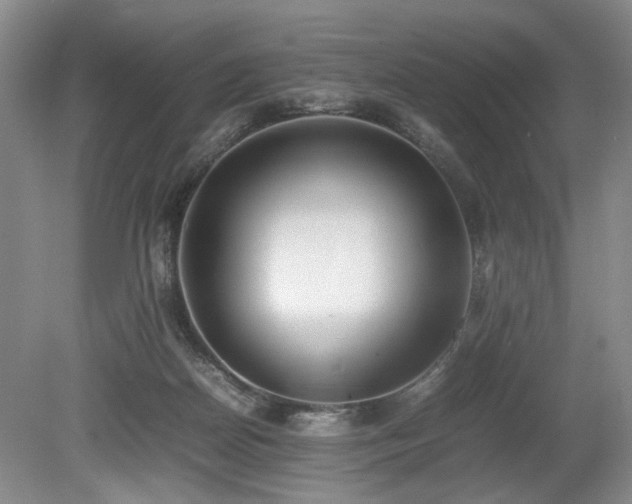 X0000080140170200612081305