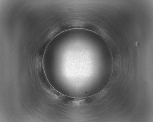 X0000080140172200612081305